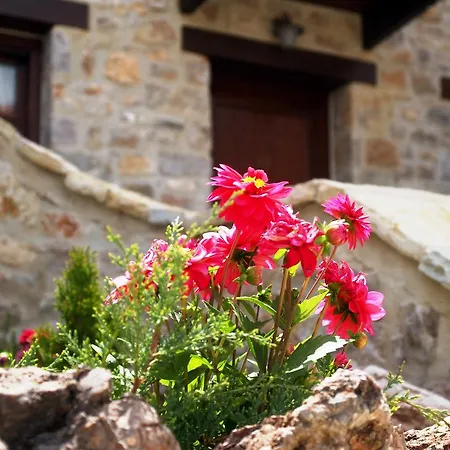 Maison d'hôtes Oihalia Fidhákia